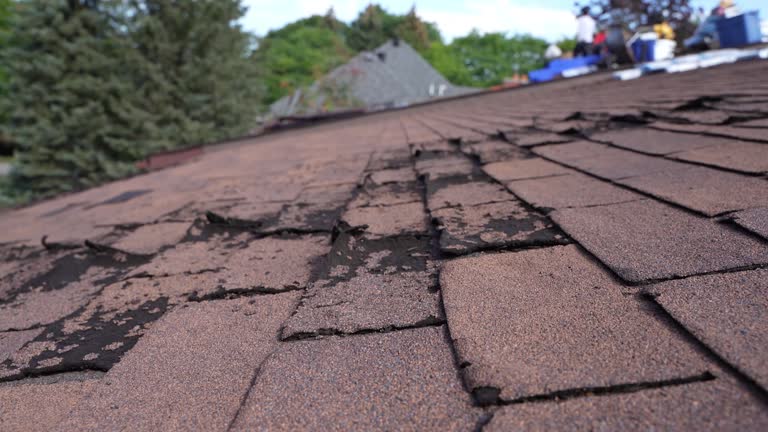 Best Roof Maintenance and Cleaning  in Chester Heights, PA